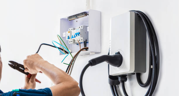 Best Electrical System Inspection  in Grass Lake, MI